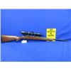Image 5 : Non-Restricted - Ruger Model 77/22 in 22LR