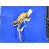 Image 1 : Mounted Pine Martin Taxidermy on Wood