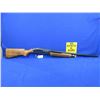 Image 5 : Non-Restricted - Winchester Model 2200 in 12 Ga. 2 3/4" Full