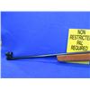 Image 4 : Non-Restricted - Walther Target/Sporter in 22 LR