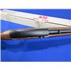 Image 9 : NEW - Non-Restricted - Ruger Model 10/22 Semi Auto in 22LR