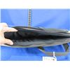 Image 4 : Ruger Soft Scoped Rifle Case - 44" - Zipper is Broken