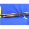 Image 3 : Non-Restricted -Brescia Semi Auto in 12 Ga. 2 3/4"