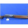 Image 7 : Non-Restricted -Brescia Semi Auto in 12 Ga. 2 3/4"