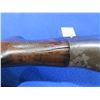 Image 9 : Non-Restricted -Brescia Semi Auto in 12 Ga. 2 3/4"
