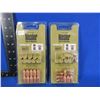 Image 1 : 50 Cal. 250gr .429" Projectile Nosler Hunting Sabots - Pack of 10, Pack of 8
