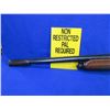 Image 4 : Non-Restricted - Beretta Model A301 Semi Auto in 12 Ga. 2 3/4"