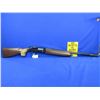 Image 5 : Non-Restricted - Beretta Model A301 Semi Auto in 12 Ga. 2 3/4"