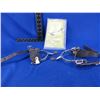 Image 1 : Spurs with Leather Straps and New Spur Tiedowns
