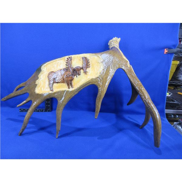 Carved Moose Antler with Moose, Wolf & Feathers Carved into the Antler - Pick Up Only