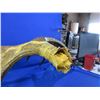 Image 3 : Carved Moose Antler with Moose, Wolf & Feathers Carved into the Antler - Pick Up Only