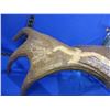Image 5 : Carved Moose Antler with Moose, Wolf & Feathers Carved into the Antler - Pick Up Only