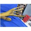 Image 8 : Carved Moose Antler with Moose, Wolf & Feathers Carved into the Antler - Pick Up Only
