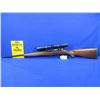 Image 1 : Non-Restricted - Ruger Model 77/22 in 22 Hornet