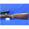 Image 2 : Non-Restricted - Ruger Model 77/22 in 22 Hornet
