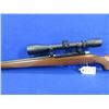 Image 3 : Non-Restricted - Ruger Model 77/22 in 22 Hornet