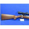 Image 6 : Non-Restricted - Ruger Model 77/22 in 22 Hornet