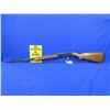 Image 1 : Non-Restricted - Remington Fieldmaster Model 121 in 22 S/L/LR