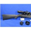 Image 6 : Non-Restricted - Ruger Model 10/22 Semi Auto in 22 LR