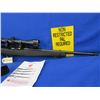 Image 8 : Non-Restricted - Ruger Model 10/22 Semi Auto in 22 LR