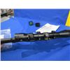 Image 9 : Non-Restricted - Ruger Model 10/22 Semi Auto in 22 LR