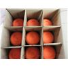 Image 1 : Champion Range & Target Tournament Clay Targets - Box of Approx. 70 - Pick Up Only