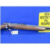 Image 7 : Non-Restricted - Winchester Model 72 in 22 S/L/LR