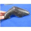 Image 2 : Antique 19th Century European Pinfire Revolver Hard Case