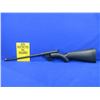 Image 1 : Non-Restricted - Henry Model H002B  US Survival Semi Auto in 22LR