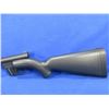 Image 2 : Non-Restricted - Henry Model H002B  US Survival Semi Auto in 22LR