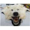 Image 2 : Large White Wolf Rug - Head to Tail 72", Front Paw to Front Paw 72"