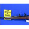 Image 3 : Non-Restricted - Winchester Model 70 XTR in 270 Win