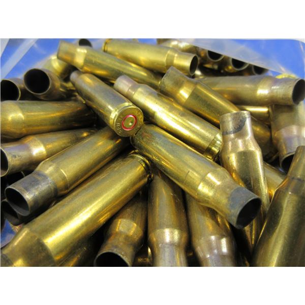 Brass Only - 308 Win. Unprimed - Bag of 100