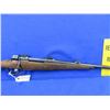 Image 7 : Non-Restricted - Mauser Model 98 in 8x57J