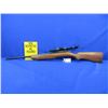 Image 1 : Non-Restricted - Cooey Model 39 in 22 S/L/LR
