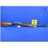 Image 5 : Non-Restricted - JC Higgins Model 66 Semi Auto in 12 Ga. 2 3/4"