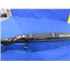 Image 9 : Non-Restricted - Ruger American in 308 Win