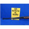 Image 4 : Non-Restricted - FN Browning Model Trombone in 22 L