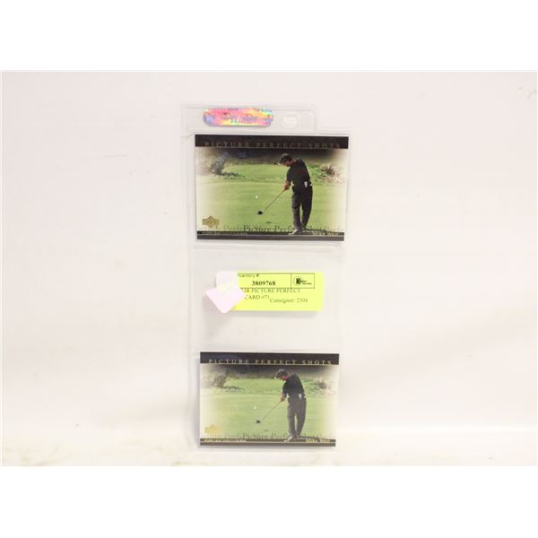 2 MIKE WEIR PICTURE PERFECT SHOTS UD CARD #71