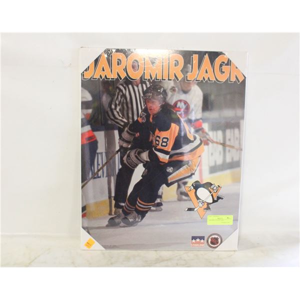 JAROMIR JAGR PICTURE