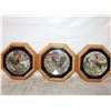Image 1 : 3 VINTAGE CHICKEN COLLECTOR PLATES IN