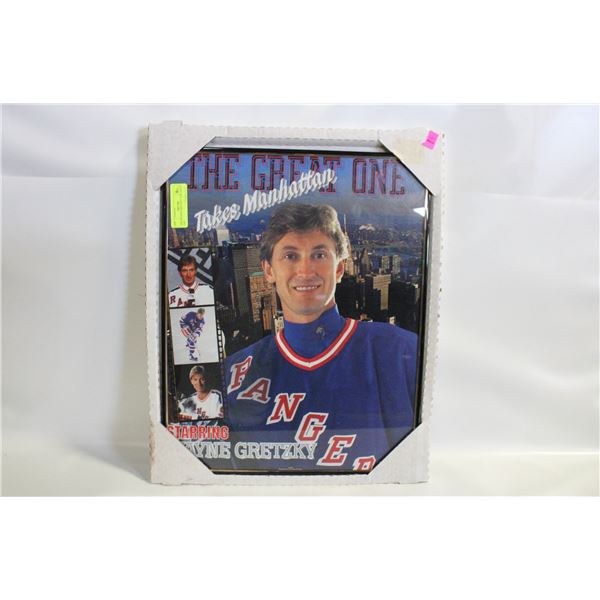 1996 FRAMED GRETZKY "THE GREAT ONE"
