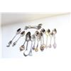 Image 1 : LOT OF VARIOUS COLLECTOR SPOONS