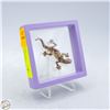 Image 1 : NEW LIZARD' DESIGN BROOCH 2.52”X 1.3”