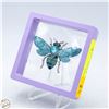 Image 1 : NEW LARGE TEAL BEE SOLEVDO RHINESTONE