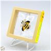Image 1 : NEW BEE-SHAPE BROOCH GLASS