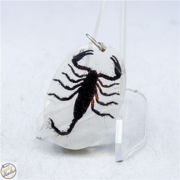 GENUINE SCORPION RESIN ENCASED MADE INTO PENDANT