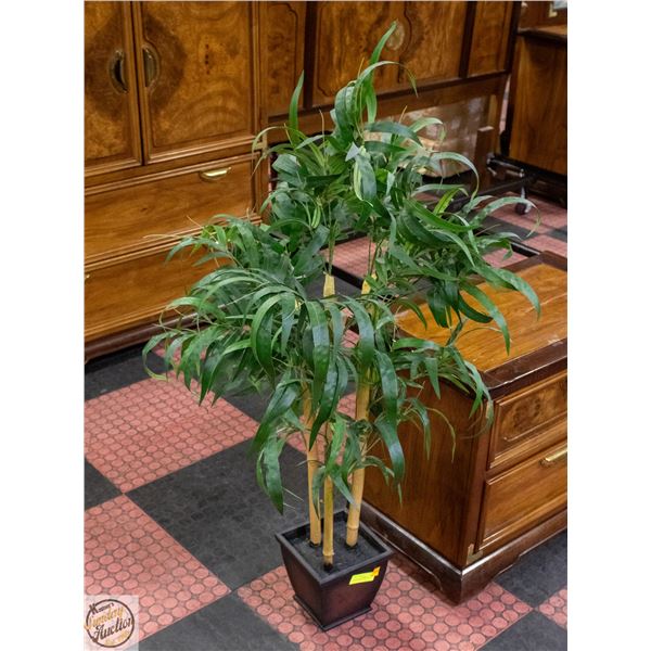 3 STALK BAMBOO SILK TREE