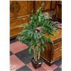 Image 1 : 3 STALK BAMBOO SILK TREE