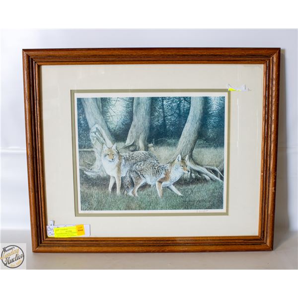 COYOTE FAMILLY CANADIAN ARTIST JOYE BRIDGETT